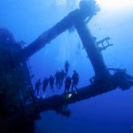 42438134 2222240677810663 360486625311981568 O