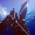 42489769 2222240087810722 8703186424259674112 O