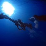 42523082 2222240007810730 5500605388111740928 O