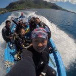 43063124 2230927703608627 461046859276746752 O