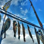 66136057 2665190216849038 6499841731528228864 N