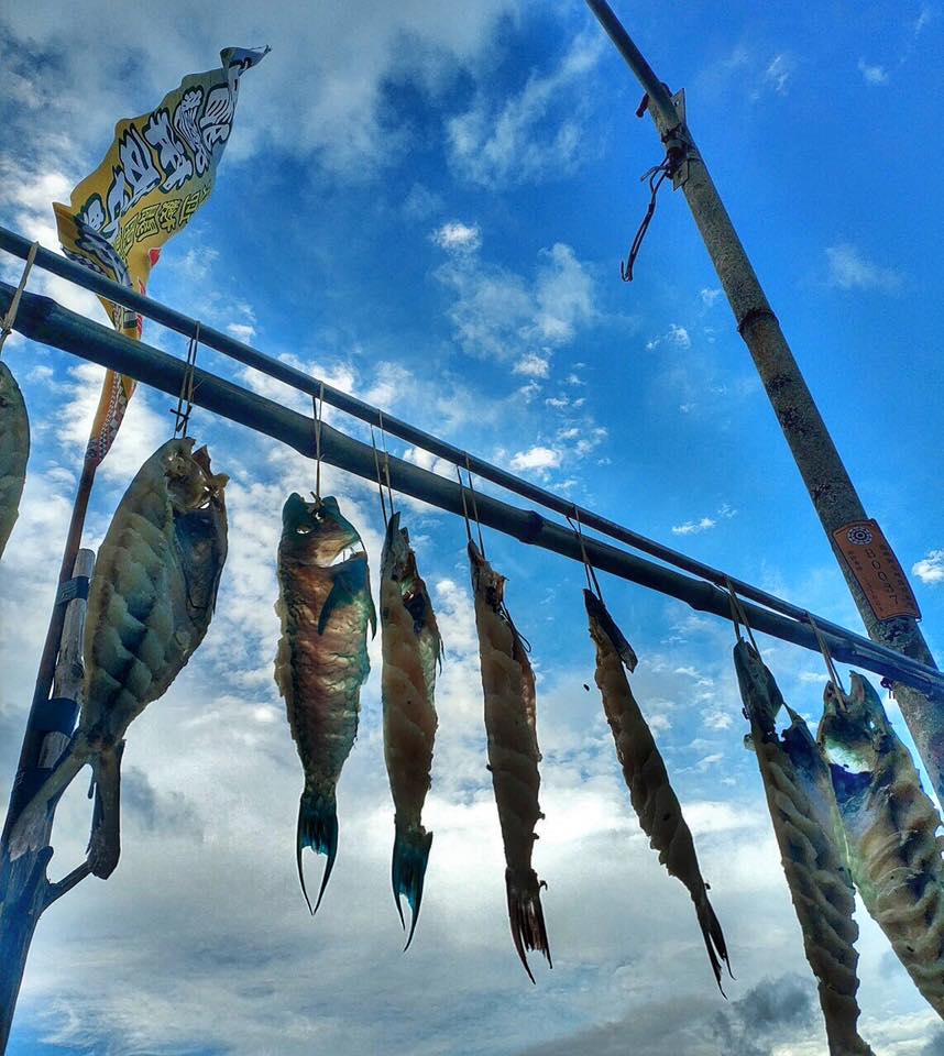 66136057 2665190216849038 6499841731528228864 N