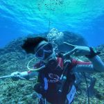 66180707 2665190540182339 8957272832610402304 N