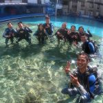 67373196 2712266218808104 5941013366163111936 N