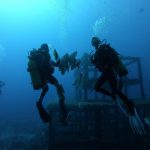 74490504 2870891356278922 5647851457022525440 N