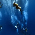 75298461 2911623828872341 7642204918031319040 N