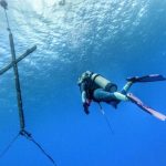 75341198 2870891859612205 8003252478957060096 N