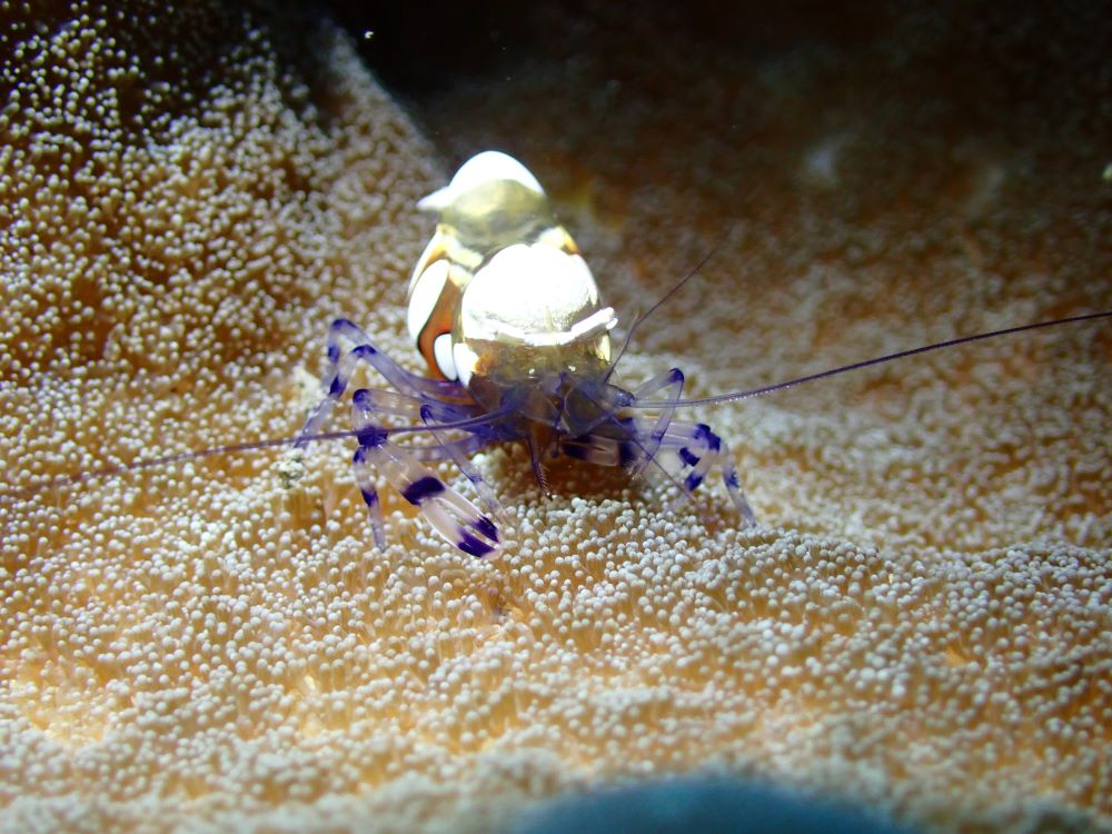 P4051729